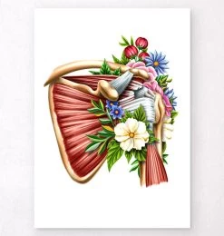 Rotator Cuff Tear - Floral - White