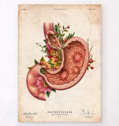 Gastric Ulcers - Floral - Vintage