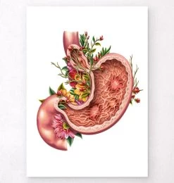 Gastric Ulcers - Floral - White