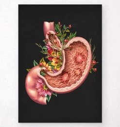 Gastric Ulcers - Floral - Black