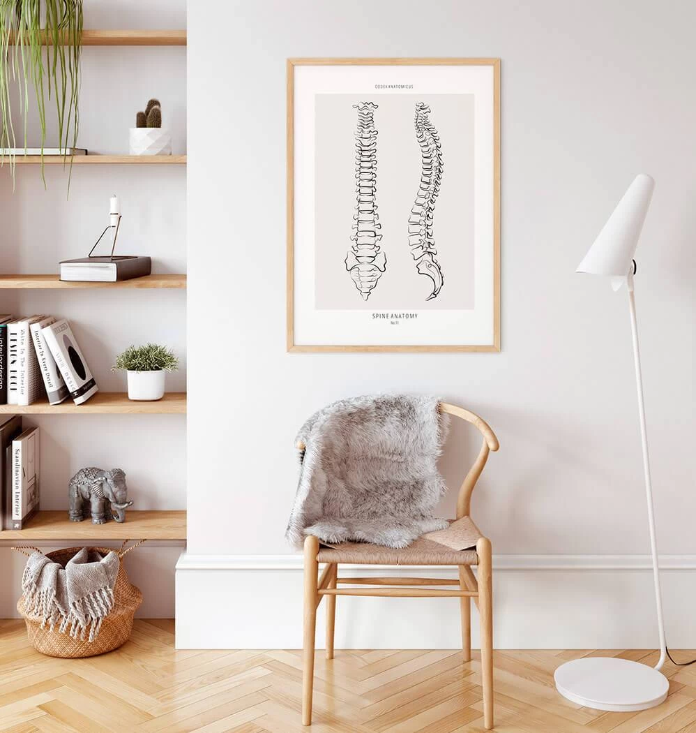 Spine Anatomy - Line Art 4 Spine Anatomy - Line Art - Image 2