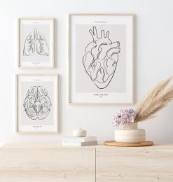 Heart Anatomy - Line Art -Codex Anatomicus Shop MN012 2 e0cfbe02 49a8 4e10 9c66 086da2bd6987