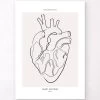 Heart Anatomy - Line Art -Codex Anatomicus Shop MN012 71de9490 b702 4a9a 963f 35d4b3241234