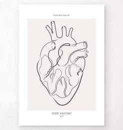 Heart Anatomy - Line Art