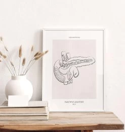Pancreas Anatomy - Line Art 6 Pancreas Anatomy - Line Art -Codex Anatomicus Shop MN015 1