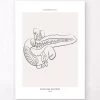 Pancreas Anatomy - Line Art 2 Pancreas Anatomy - Line Art -Codex Anatomicus Shop MN015 a43f0ff5 b010 4aee 802c 5d1f1a97ed06