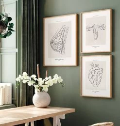 Breast Anatomy - Line Art -Codex Anatomicus Shop MN016 2