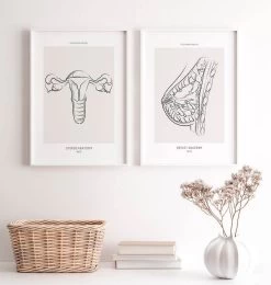 Uterus Anatomy - Line Art -Codex Anatomicus Shop MN018 2