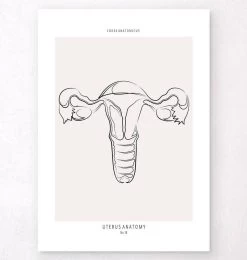 Uterus Anatomy - Line Art