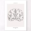 Brain Section - Line Art 2 Brain Section - Line Art -Codex Anatomicus Shop MN020 0ab4b85b a2e2 445a a613 fa1927e9370a
