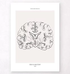 Brain Section - Line Art