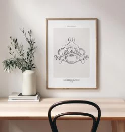 Codex Anatomicus Shop -Codex Anatomicus Shop MN022 1