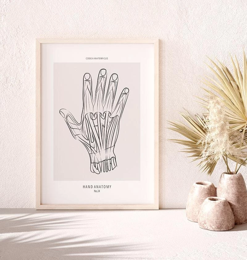 Hand Anatomy - Line Art 4 Hand Anatomy - Line Art - Image 2