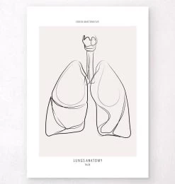 Lungs Anatomy - Line Art