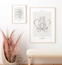 Male Pelvis Anatomy - Line Art 7 Male Pelvis Anatomy - Line Art -Codex Anatomicus Shop MN028 2
