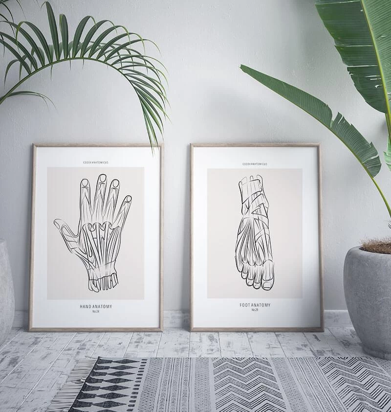 Foot Anatomy - Line Art 5 Foot Anatomy - Line Art - Image 3