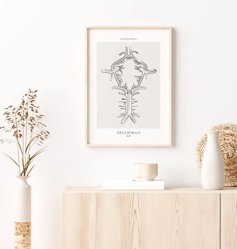 Circle Of Willis - Line Art 4 Circle Of Willis - Line Art - Image 2