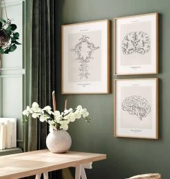 Circle Of Willis - Line Art 7 Circle Of Willis - Line Art -Codex Anatomicus Shop MN030 2