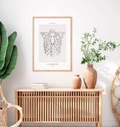 Rib Cage Anatomy - Line Art -Codex Anatomicus Shop MN033 1