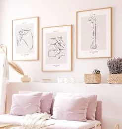 Femur Anatomy - Line Art -Codex Anatomicus Shop MN035 2