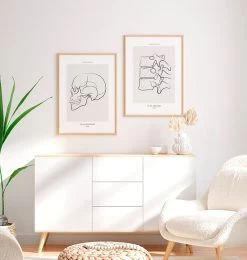 Skull Side View - Line Art -Codex Anatomicus Shop MN036 2