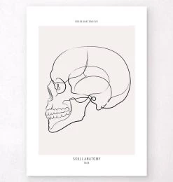 Skull Side View - Line Art