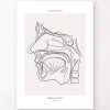 Nose Anatomy - Line Art -Codex Anatomicus Shop MN037 a0164ca0 5d28 415f 851d 1b2134ade8b0