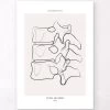 Spine Anatomy II - Line Art -Codex Anatomicus Shop MN038 d70d6525 f565 484f a1af 8ca5b02fe1ee