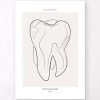 Tooth Anatomy II - Line Art