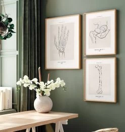 Hand Skeleton - Line Art -Codex Anatomicus Shop MN042 2