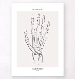Hand Skeleton - Line Art