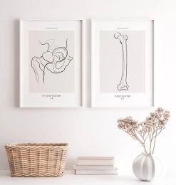 Hip Joint Anatomy - Line Art 7 Hip Joint Anatomy - Line Art -Codex Anatomicus Shop MN044 2