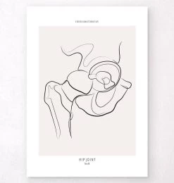 Hip Joint Anatomy - Line Art