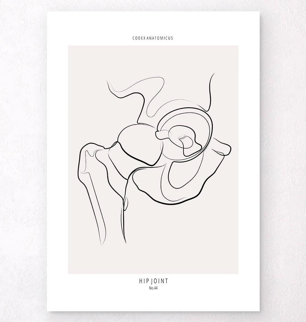 Hip Joint Anatomy - Line Art 3 Hip Joint Anatomy - Line Art