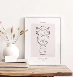 Larynx Anatomy - Line Art 6 Larynx Anatomy - Line Art -Codex Anatomicus Shop MN045 1