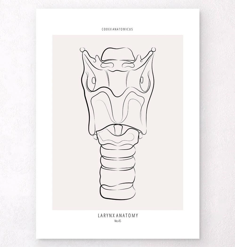 Larynx Anatomy - Line Art 3 Larynx Anatomy - Line Art