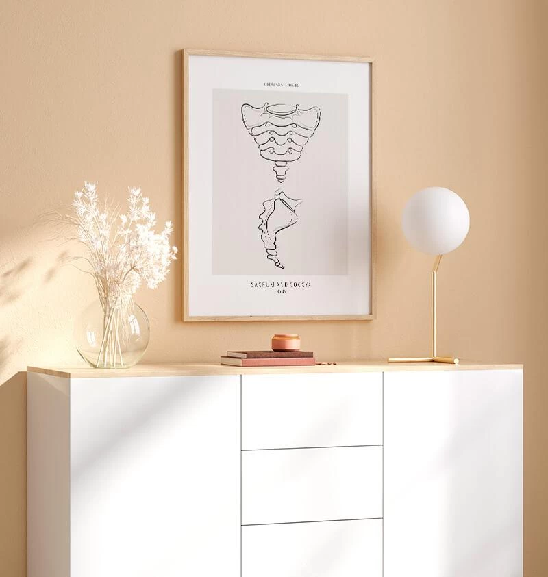 Sacrum And Coccyx - Line Art 4 Sacrum And Coccyx - Line Art - Image 2