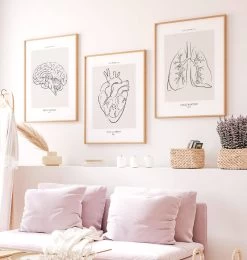 Lungs Section - Line Art -Codex Anatomicus Shop MN047 2