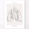 Lungs Section - Line Art 1 Lungs Section - Line Art -Codex Anatomicus Shop MN047 8953c40b b09a 44ab bf5f ca85d9f7e176