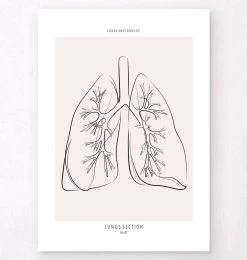 Lungs Section - Line Art