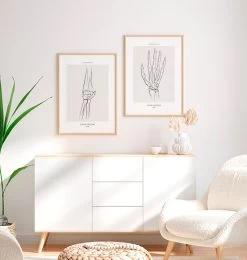 Elbow Anatomy - Line Art -Codex Anatomicus Shop MN048 2