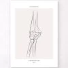 Elbow Anatomy - Line Art -Codex Anatomicus Shop MN048 b1c1ae22 0472 4303 82fb 27bd73c4997b