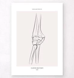 Elbow Anatomy - Line Art