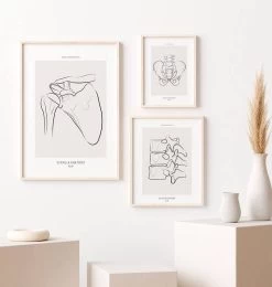 Shoulder Anatomy - Line Art -Codex Anatomicus Shop MN049 2