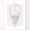 Neck Bones - Line Art -Codex Anatomicus Shop MN051 473788d6 c3c8 4e39 8ab8 9af2cd8f95b7