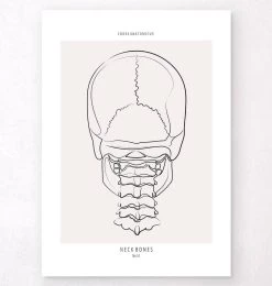 Neck Bones - Line Art