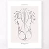 Back Muscles - Line Art -Codex Anatomicus Shop MN054 ec737504 8c3c 4dee 846f 2112bf90f875