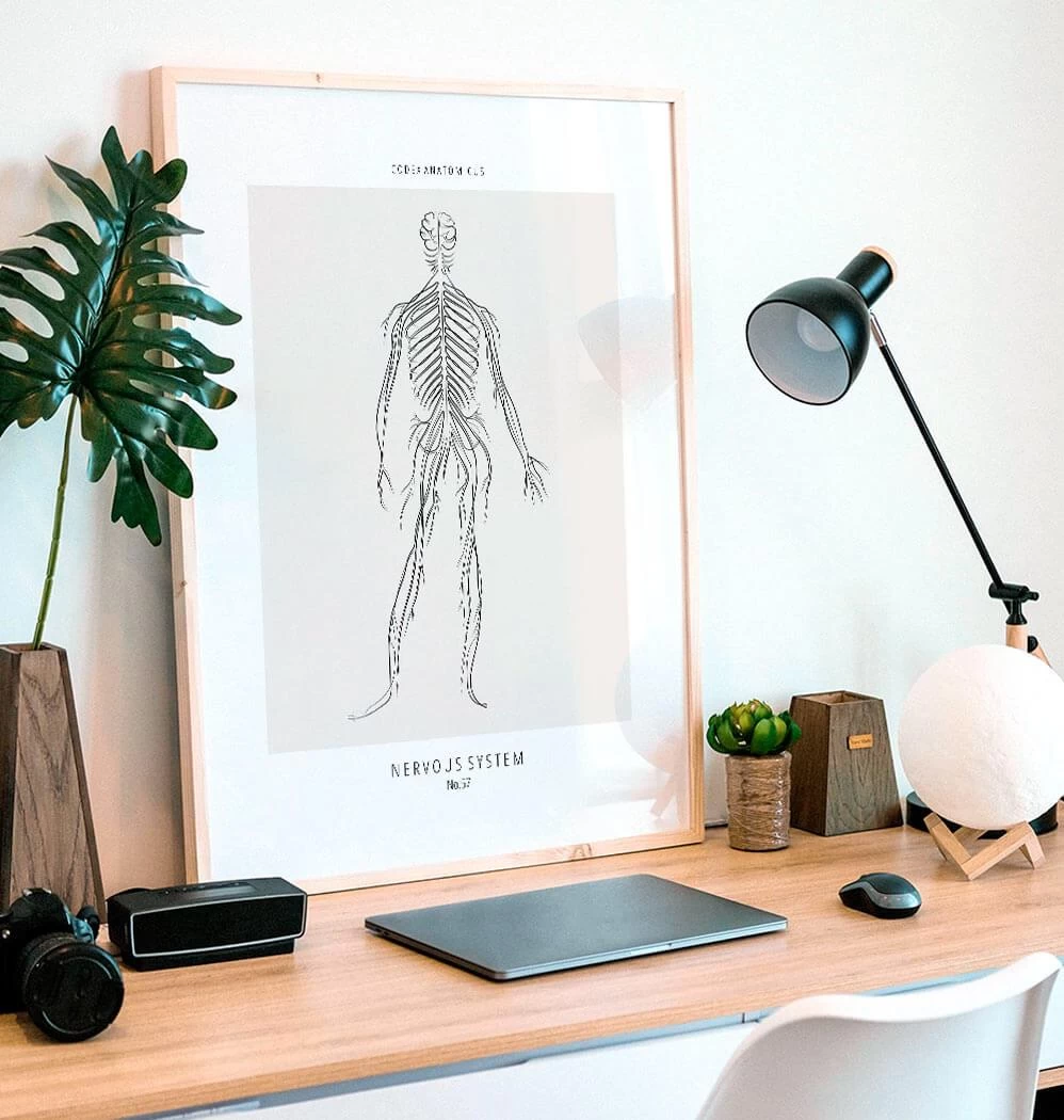 Nervous System - Line Art 4 Nervous System - Line Art - Image 2