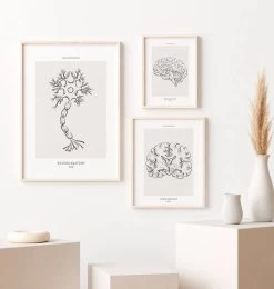 Neuron Anatomy - Line Art -Codex Anatomicus Shop MN058 2