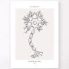Neuron Anatomy - Line Art 2 Neuron Anatomy - Line Art -Codex Anatomicus Shop MN058 24c26243 a438 41a5 a1db 76118b3f06dc